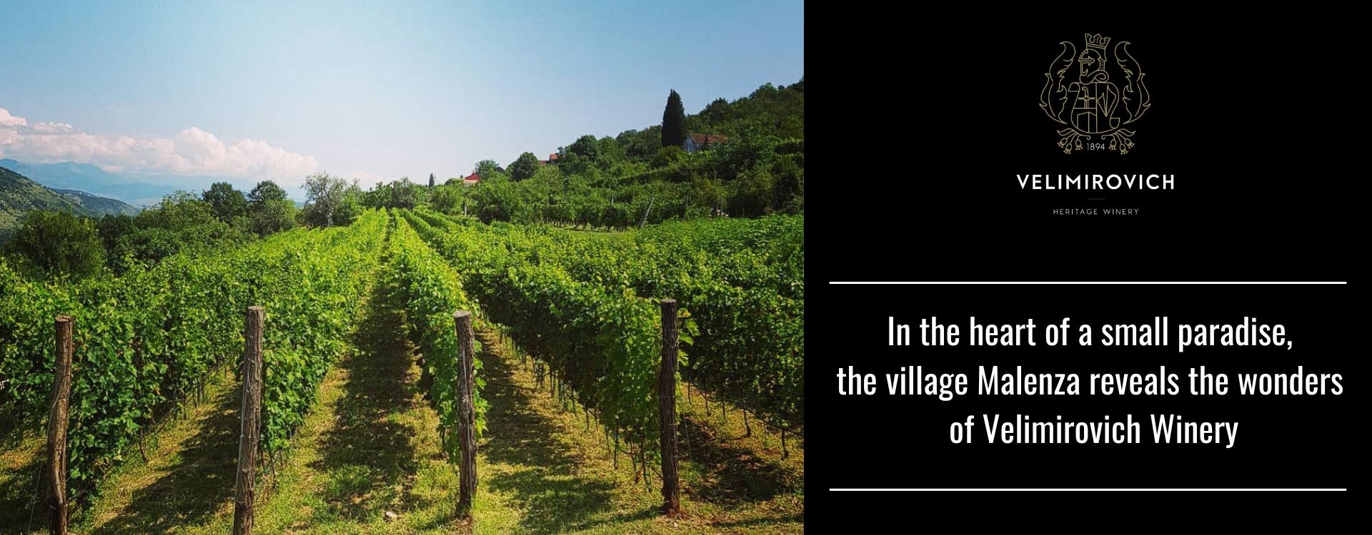 VINOGRADI VELIMIROVIC CRNA GORA