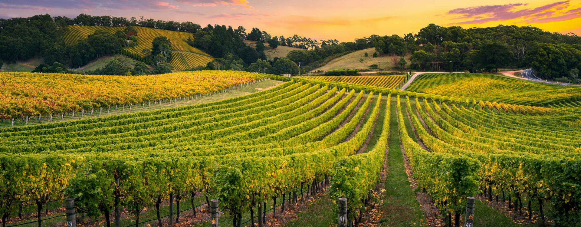 WINERY MONTENEGRO