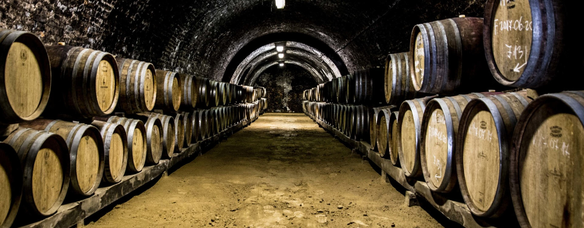 WINE MONTENEGRO-VINARIJE U CRNOJ GORI