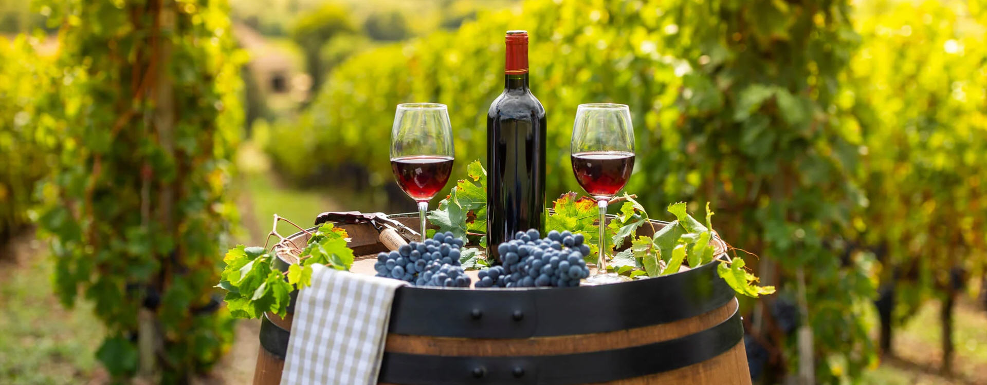 VINARIJE CRNA GORA