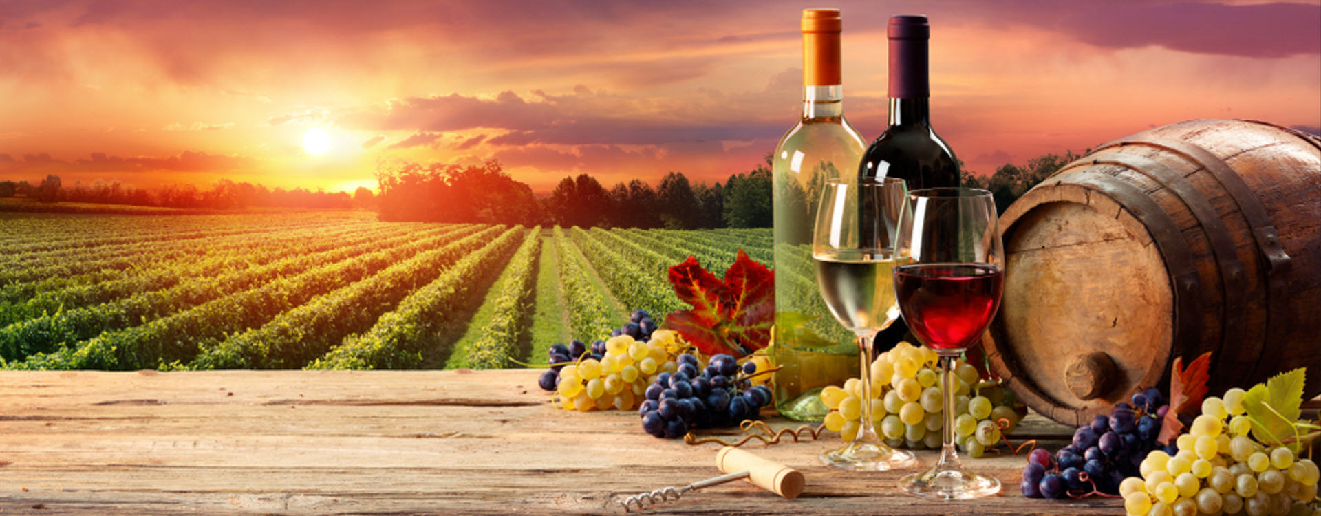 Winery Montenegro