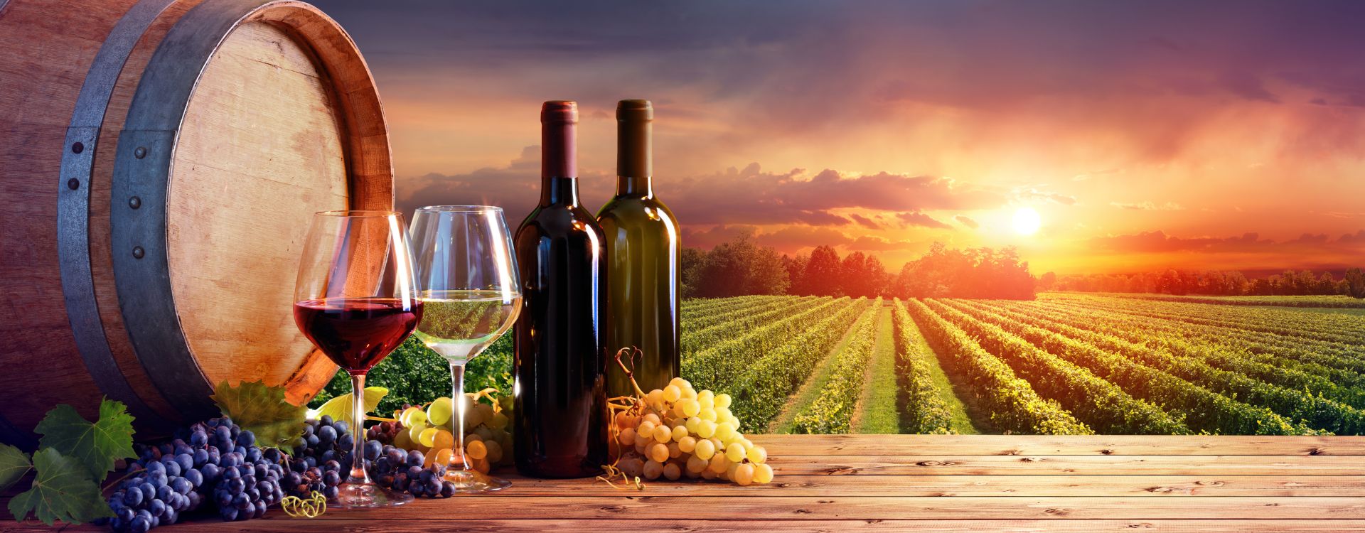 Winery Montenegro